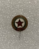 Insigna rusia