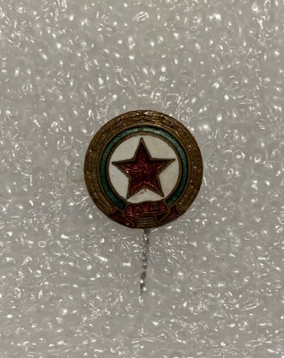 Insigna rusia foto