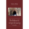 Befalazott v&eacute;gtelens&eacute;g - Novell&aacute;k - Babits Mih&aacute;ly