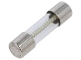 Siguranță &Icirc;nt&acirc;rziere 2A 250V Cilindrică Sticlă, SCHURTER