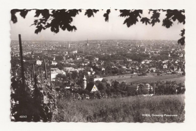 AT1 -Carte Postala-AUSTRIA- Viena, Grinzing Panorama , necirculata foto