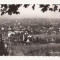 AT1 -Carte Postala-AUSTRIA- Viena, Grinzing Panorama , necirculata