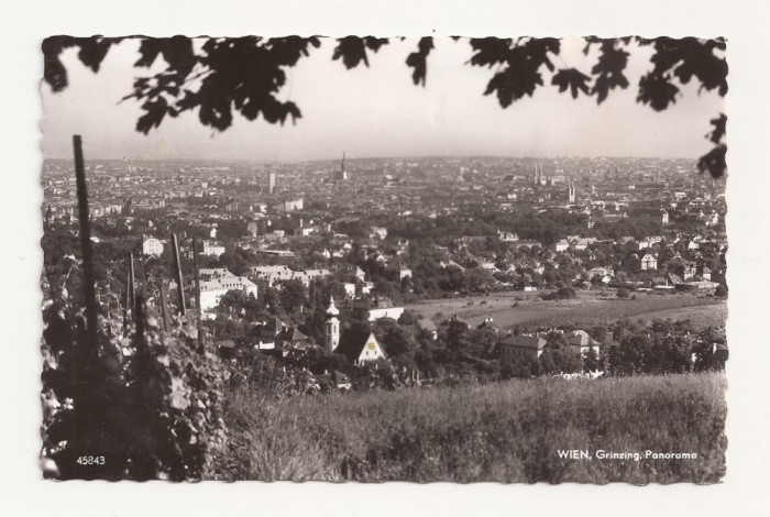 AT1 -Carte Postala-AUSTRIA- Viena, Grinzing Panorama , necirculata