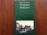 Gyaloglat ​Erd&eacute;lyben Szentiv&aacute;ni Mih&aacute;ly 1986 Eur&oacute;pa K&ouml;nyvkiad&oacute; budapest kult&uacute;ra t&ouml;rt&eacute;nete 248 oldal