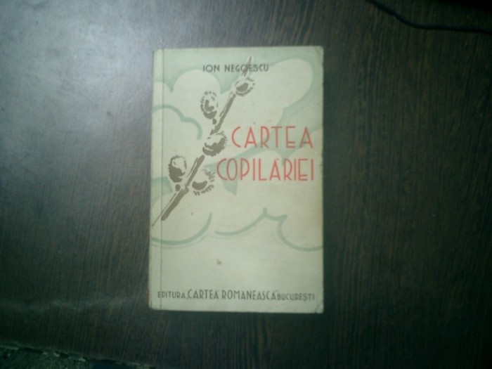 Cartea copilariei - Ion Negoescu