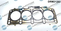 Garnitura, Chiulasa 310761 DRM21202