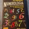 Sa intelegem numerologia Shirley Lawrence