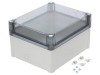Carcasa Universala Schneider Electric ABS IP66 Thalassa TBS 241x291x168mm IK07 Gri
