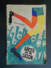 Petre Dragomir - Baietii de pe gazon (1972) foto