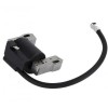 Aprindere compatibila Briggs &amp; Stratton 2 - 4 CP, Taiwan