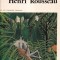 Henri Rousseau