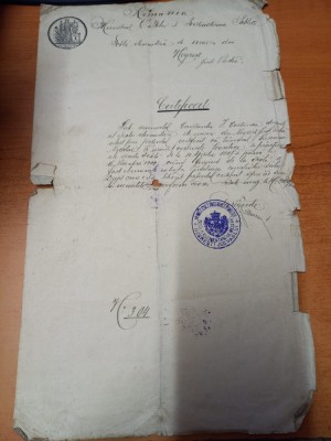 AMS - CERTIFICAT DE STUDII, JUD. VASLUI, ANUL 1907 foto