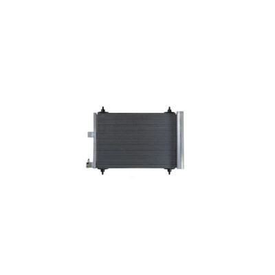 Radiator clima PEUGEOT 407 cupe 6C DENSO DCN21025 foto