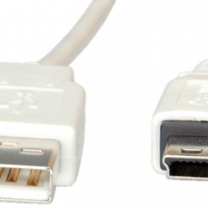 Cablu USB 2.0 la mini USB 0.8m T-T Alb, S3141