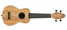Set Ukulele Soprano Ortega K3-SPM Keiki Spalted Maple foto