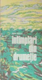 INTAMPLARI DIN DRUMETIE - ANA ILIESCU