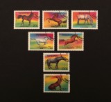 Serie Completă 7 Timbre Tanzania 1993 Rase de Cai Arab Anglo-Arab Nonius Tarpan Ștampilate - A992