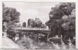 Bnk cp Timisoara - Pod peste Bega - uzata, Circulata, Printata