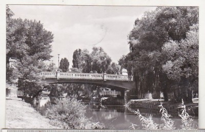 bnk cp Timisoara - Pod peste Bega - circulata foto