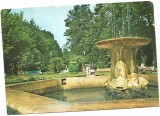 Carte postala-TIMIS-Buzias-parcul, Circulata, Printata