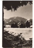 CPIB 22698 - CARTE POSTALA - MUNTII RODNEI. VEDERE SPRE PIETROSUL