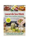 Leacuri din Țara Sf&acirc;ntă - Paperback brosat - Lumea creștină