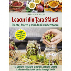 Leacuri din Țara Sfântă - Paperback brosat - Lumea creștină