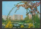 CPIB 24005 - CARTE POSTALA - BUCURESTI. CARTIERUL DRUMUL TABEREI, NECIRCULATA