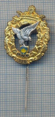 AX 233 INSIGNA -TURISM MONTAN - DRUMETIE MONTANA- ,,DWB&amp;quot; 320 -FRUMOASA foto