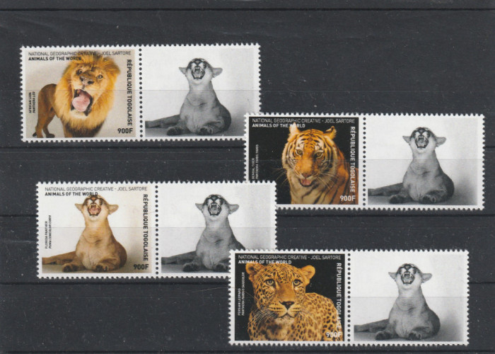 Togo 2016-Fauna,leopard,leu,pantera,tigru,serie 4 val.cu vign.,MNH,Mi.7929-7932