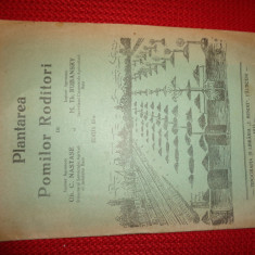 plantarea pomilor roditori -c.nastase,m.rubansky / an 1933/16 pagini/carte veche