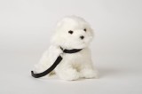 Caine de plush Bichon Maltez de jucarie cu lesa 27cm