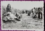 Fotografie, Tineri la culesul viei, perioada comunista