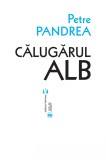 Calugarul alb | Petre Pandrea