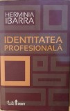 Identitatea profesionala - Herminia Ibarra