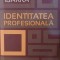 Identitatea profesionala - Herminia Ibarra