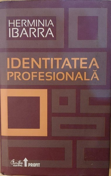 Identitatea profesionala - Herminia Ibarra
