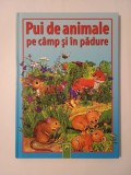 Pui de animale pe c&acirc;mp și &icirc;n pădure (cu ilustrații de Anne Seuss)