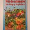 Pui de animale pe c&acirc;mp și &icirc;n pădure (cu ilustrații de Anne Seuss)