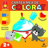 Cartea mea de colorat/***