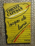 Imagini ale lumii Cornel Capusan