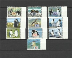 FALKLAND 2005 FAUNA PASARI PINGUINI POSTAGE DUE foto