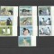 FALKLAND 2005 FAUNA PASARI PINGUINI POSTAGE DUE