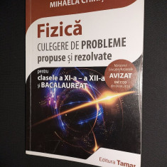 FIZICA CULEGERE DE PROBLEME PROPUSE SI REZOLVATE A XI -XII A SI BAC CHIRITA