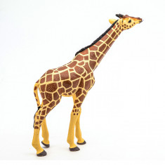 Papo Figurina Girafa Cu Cap Ridicat foto