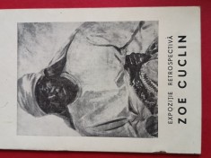 Colectia de arta DIMITRIE CUCLIN ,carte album prezentare ,