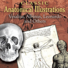 Classic Anatomical Illustrations: Vesalius, Albinus, Leonardo and Others