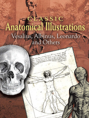 Classic Anatomical Illustrations: Vesalius, Albinus, Leonardo and Others foto