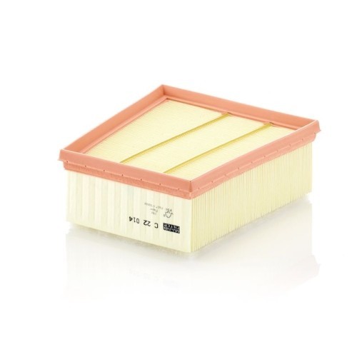 Filtru aer Mann-Filter C22014