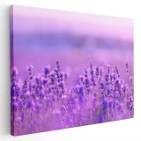 Tablou peisaj camp flori lavanda mov roz 1592 Tablou canvas pe panza CU RAMA 60x90 cm